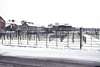 Sheep Pens